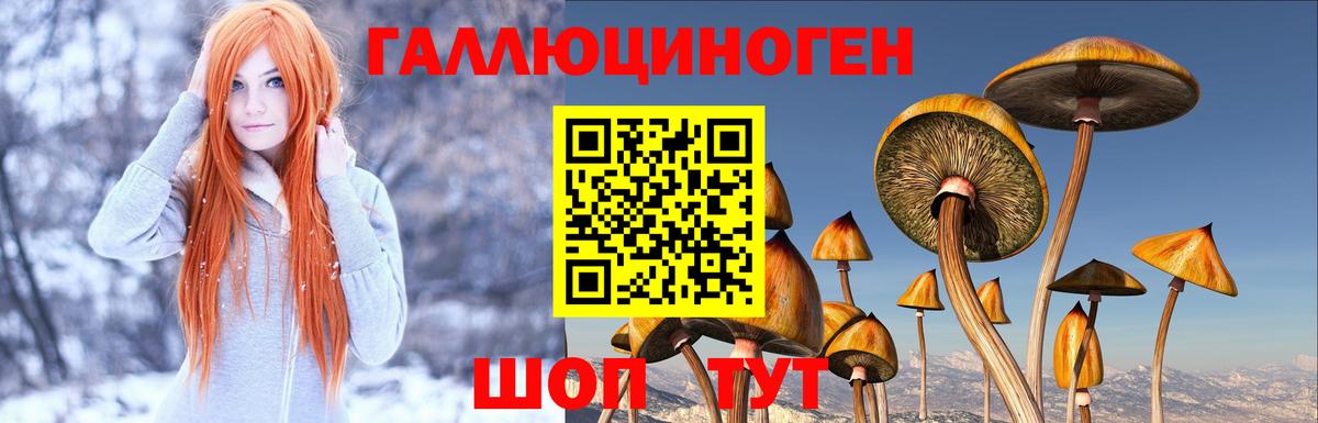 Псилоцибиновые грибы GOLDEN TEACHER Ханты-Мансийск